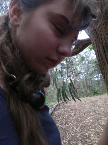 Gwyndolyn Off in a tree - Golden Gate Park San Francisco